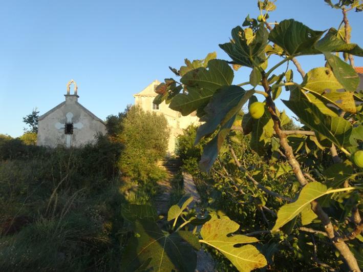 D House Authentic Zlarin House, Relaxing Courtyard And Terrace Βίλα Εξωτερικό φωτογραφία
