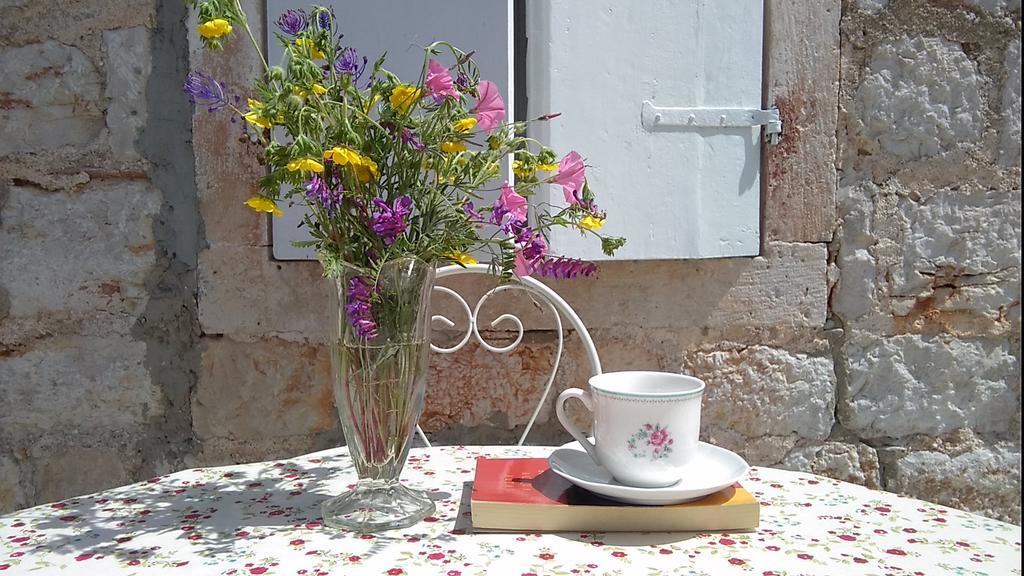 D House Authentic Zlarin House, Relaxing Courtyard And Terrace Βίλα Εξωτερικό φωτογραφία